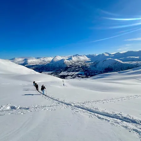 Tenna 48 Panorama سترين